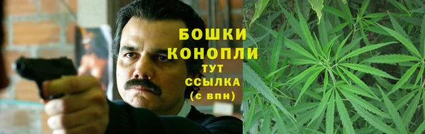 молекула духа Вязьма