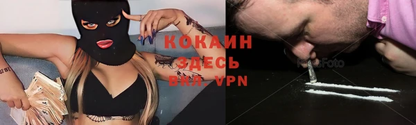 молекула духа Вязьма