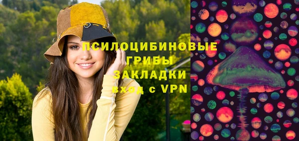 молекула духа Вязьма