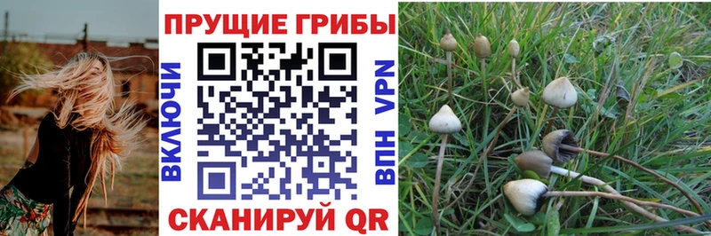 Псилоцибиновые грибы прущие грибы Горбатов