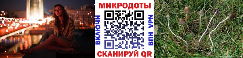 даркнет официальный сайт Горбатов Псилоцибиновые грибы Cubensis blacksprut как зайти